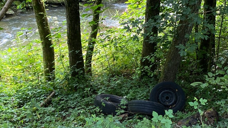 Auch an einer anderen Stelle des Gaybachs finden sich abgelegte Reifen. Dies sei eine beliebte Stelle für illegalen Müll, da man leicht mit dem Autoanhänger hinfahren kann.