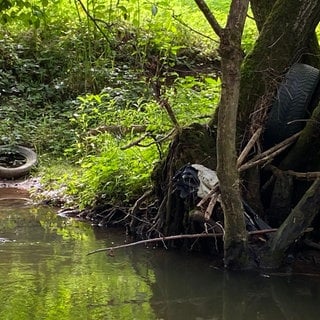 Mehr als 15 Autoreifen liegen allein an dieser kleinen Stelle des Gaybachs im Wasser und am Ufer.