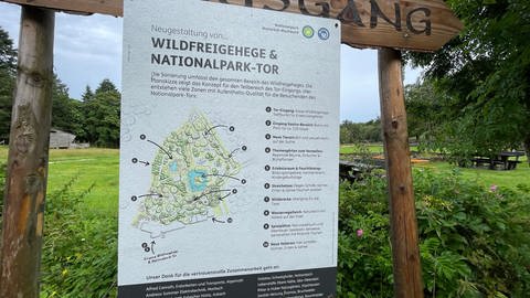 Wildfreigehege in Kempfeld