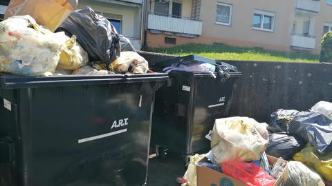 Dieses ältere Foto hat eine Mieterin laut eigener Aussage gemacht, als sich auch in der Nähe ihrer Wohnung noch der Müll stapelte. Das Problem sei mittlerweile durch einen zusätzlichen Container behoben worden.