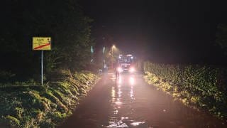 Die Unwetter in Rheinland-Pfalz am Dienstagabend haben in der Region Trier einige Schäden angerichtet. Es gab Überflutungen und umgestürzte Bäume in Aach und Trier-Biewer.