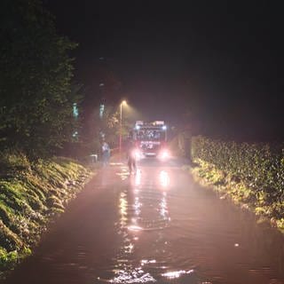 Die Unwetter in Rheinland-Pfalz am Dienstagabend haben in der Region Trier einige Schäden angerichtet. Es gab Überflutungen und umgestürzte Bäume in Aach und Trier-Biewer.