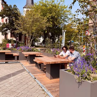 Eine der neuen grünen Pflanzinseln mit Sitzgelegenheiten auf dem Trierer Viehmarktplatz.