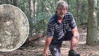 Der Schlierschieder Michael Hyar entdeckt im Wald in der Nähe seines Heimatortes ein geplündertes Römergrab.