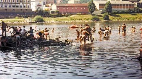 Hunderte Menschen suchen in der Mosel nach antiken Fundstücken.