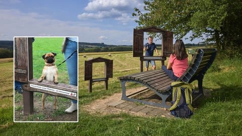 Auf insgesamt 11 km Lange verläuft die abwechslungsreiche Wanderung durch Wälder und offene Flur.  Das Hunde-Genussfenster bietet den Vierbeinern eine tolle Aussicht auf den Hunsrück. An drei Stationen bei Bäsch, Burtscheid und an der Burg Dhronecken können sich Wanderer unterwegs mit gekühlten Getränken verpflegen.