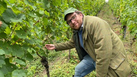 Der Frost im April führt bei Maximin von Schubert zu riesigen Ernteausfällen.