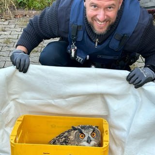 Die Polizei Wittlich hilft einem Uhu.