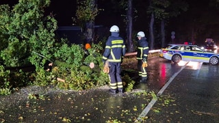 In der Region Trier stürzten am Donnerstagabend mehrere Bäume um. Die Feuerwehr musste die Hindernisse beseitigen - etwa auf der Luxemburger Straße Richtung Trier-Igel.