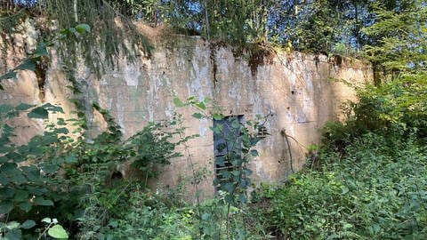 Dieser Bunker bei Ormont ist einer der wenigen, die nicht nach dem Zweiten Weltkrieg gesprengt wurden. Heute können Fledermäuse darin leben.