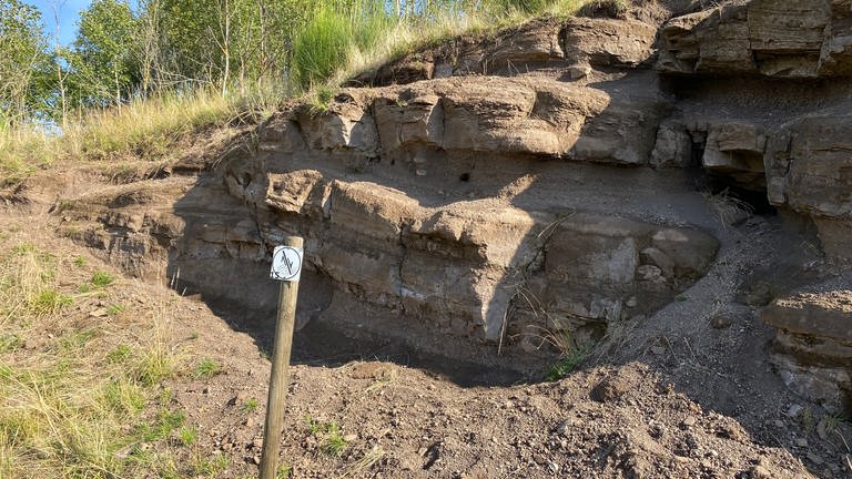 Schon vor dem Projekt hatte die Gemeinde Steffeln sich um den Vulkanpark gekümmert und Infopunkte zu vulkanischem Gestein aufgestellt.