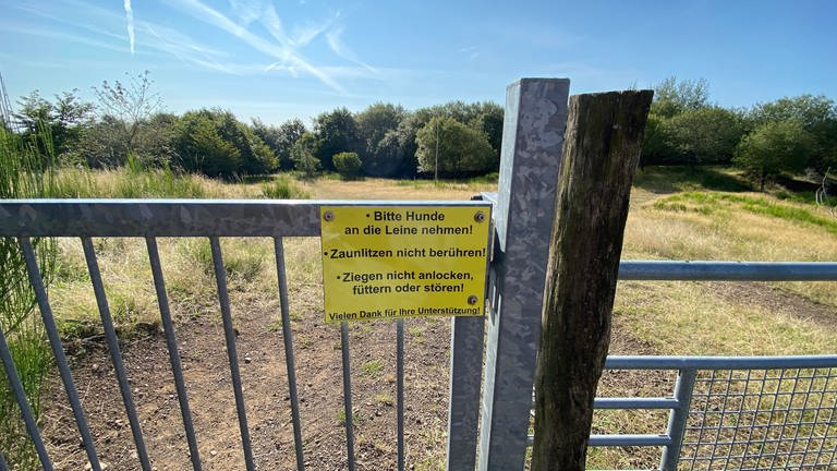 Durch die Tore, die selbstständig schließen, können Einheimische und Touristen den Vulkanpark jederzeit betreten, die Ziegen können aber nicht entkommen.