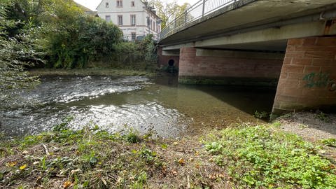 Unter der Römerbrücke hat ein Passant die Tatwaffe in der Lieser entdeckt. Von der Brücke bis zum Tatort sind es nur fünf Minuten zu Fuß. 