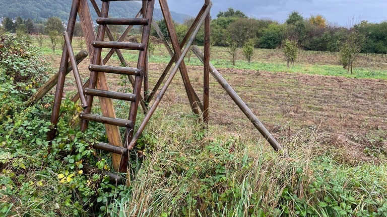 Ein Jagd-Hochsitz steht an einem Kartoffel-Feld. Landwirte wünschen sich, dass mehr Wildschweine in Trier-Zewen geschossen werden, da sie Schäden anrichten.