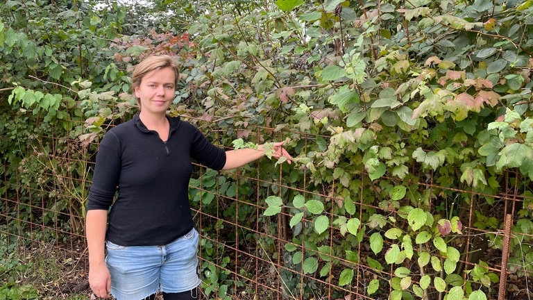 Eva-Maria Altena vor einem Schutz vor Wildschweinen. Im Solawi-Gemeinschaftsgarten haben die Mitglieder Baumattengitter als Zaun aufgestellt. 