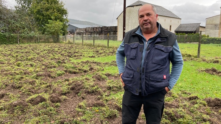 Bauer Hans Peter Grundhöfer zeigt, welche Schäden Wildschweine in Trier-Zewen angerichtet haben. Auch der Nachbargarten wurde durchwühlt.