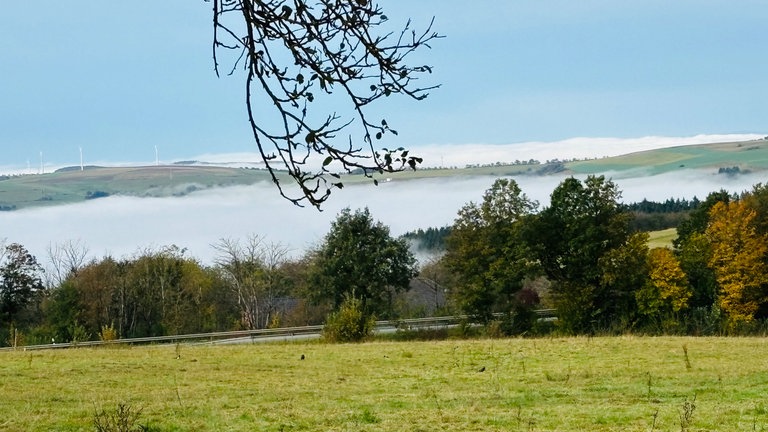 Blick von Thomm ins vernebelte Ruwertal.