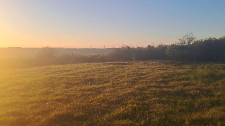 Herbstbild aus Freudenburg von der König-Johann-Runde. Der knapp zwölf Kilometer lange Wanderweg ist ein Seitensprung des Moselsteigs.