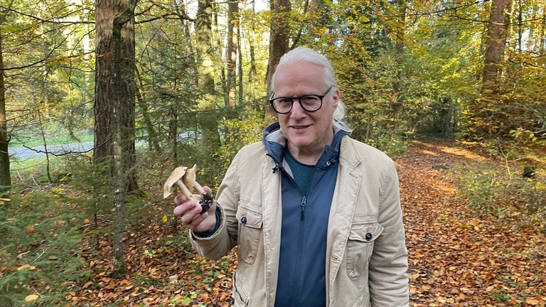 Thomas Regnery zeigt einen Rettichfälbling. Der Pilz ist nach seiner Farbe benannt und nach Rettich: Denn er riecht danach. Gegessen werden sollte er auf keinen Fall, da er giftig ist.