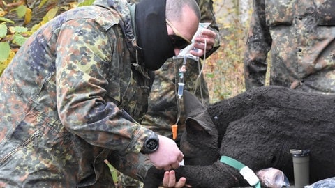 Los geht's erst auf Kommando: Der Hund bleibt ruhig, bis der ukrainische Soldat ihm einen Befehl zuflüstert. 