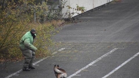 Los geht's erst auf Kommando: Der Hund bleibt ruhig, bis der ukrainische Soldat ihm einen Befehl zuflüstert. 