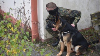 Los geht's erst auf Kommando: Der Hund bleibt ruhig, bis der ukrainische Soldat ihm einen Befehl zuflüstert. 