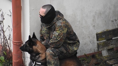 Los geht's erst auf Kommando: Der Hund bleibt ruhig, bis der ukrainische Soldat ihm einen Befehl zuflüstert. 