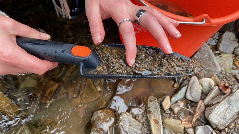 In der Schaufel als behelfsmäßiger Goldwaschpfanne sammelt Kummer das Sediment aus dem Flussbett der Lieser.