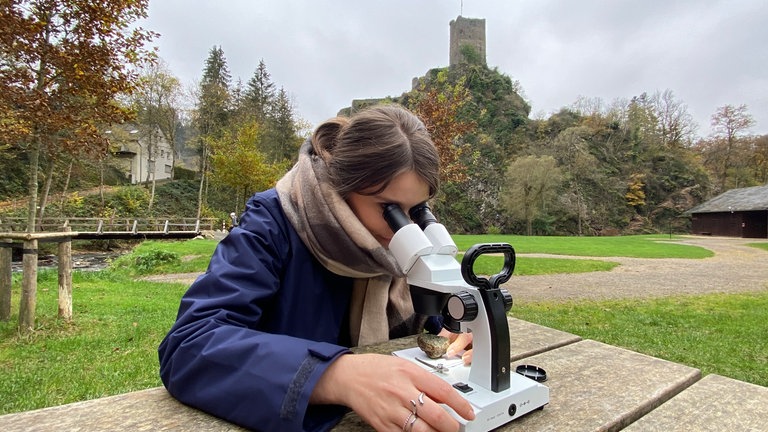 Mit Licht und der richtigen Vergrößerung im Mikroskop kann Geologin Sabine Kummer die Kristalle noch besser sehen.