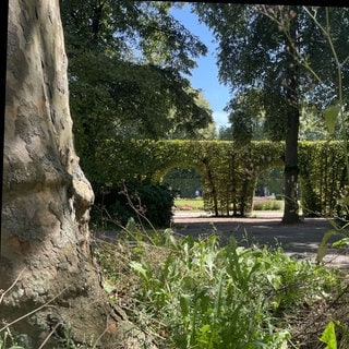 Ein junger Mann steht heute wegen versuchten Mordes vor dem Landgericht Trier. Laut Anklage hat er im vergangenen Mai versucht, im Trierer Palastgarten einen anderen Mann mit einem Küchenmesser zu töten. 