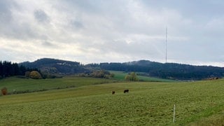 Scharteberg in der Vulkaneifel