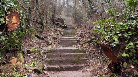 Himmelsleiter Trier