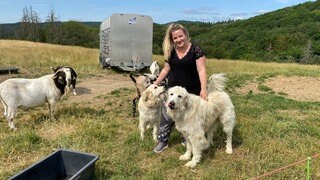 Für Schäferin Heike Dahm-Rulf sind Herdenschutzhunde eine gute Möglichkeit, ihre Schafe, Ziegen und Kühe zu schützen.