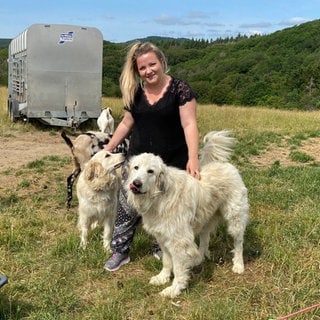 Für Schäferin Heike Dahm-Rulf sind Herdenschutzhunde eine gute Möglichkeit, ihre Schafe, Ziegen und Kühe zu schützen.