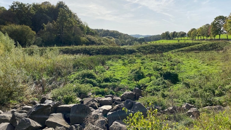 Im neuen Rückhaltebecken haben sich von selbst Schilf, Weiden und Stauden angesiedelt. Im Fall eines Hochwassers kann es 7.500 Kubikmeter Wasser fassen.