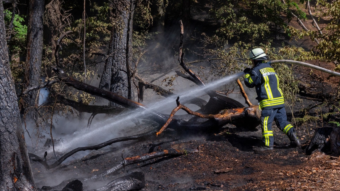 Ein Feuerwehrmann löscht ein Feuer in einem Wald. Um die Vorsorge gegen Waldbrand geht es bei einem Vortrag in Hettenrodt.