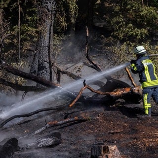 Ein Feuerwehrmann löscht ein Feuer in einem Wald. Um die Vorsorge gegen Waldbrand geht es bei einem Vortrag in Hettenrodt.  