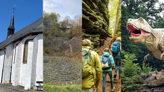 Collage Veranstaltungskalender