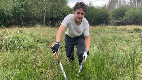 Mit einer großen Heckenschere schneidet Daniele die Ginsterbüsche