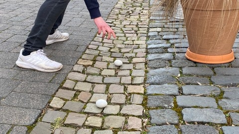 Bei der Eierlage muss der Raffer zu jedem Ei laufen, es zurück zum Startpunkt bringen und dann wieder zum nächsten Ei laufen, das weiter weg liegt.