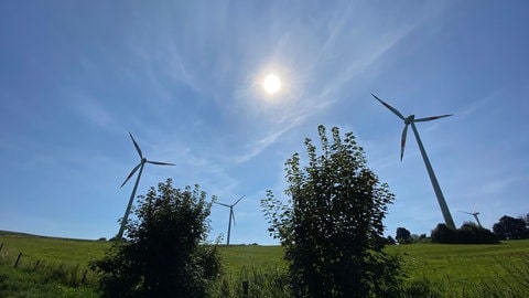 Für Windräder in der Eifel wie diese wurden Ersatzzahlungen pro Meter geleistet. Das Geld fließt in Naturschutzprojekte.