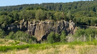 Der Vulkanpark in Steffeln, eine ehemalige Lavagrube, die jetzt von Ziegen beweidet wird, war das erste der 27 Naturschutzprojekte.