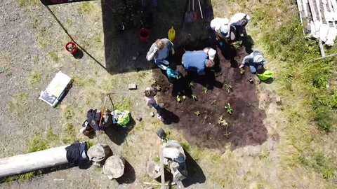 Im Projekt "Natur erleben!" haben die Kinder zwischen sieben und zwölf Jahren ein Staudenbeet auf dem Gelände des Jugendzentrums in Dockweiler angelegt.