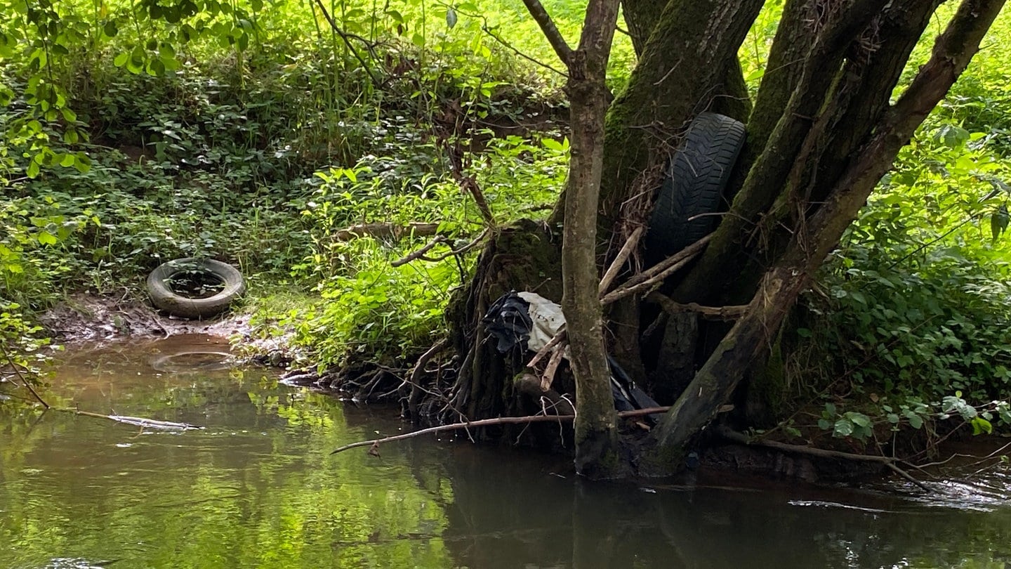 Mehr als 15 Autoreifen liegen allein an dieser kleinen Stelle des Gaybachs im Wasser und am Ufer.