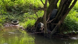 Mehr als 15 Autoreifen liegen allein an dieser kleinen Stelle des Gaybachs im Wasser und am Ufer.