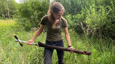 Hunderte Jahre Moorgeschichte hält Leonie Hebermehl mit dem Bohrkern aus dem Moor in ihren Händen. Etwa einen Millimeter pro Jahr wächst ein Moor.