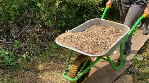 Bis der Mosbrucher Weiher wieder vollständig vernässt ist, müssen noch einige Schubkarren hineingefahren werden.