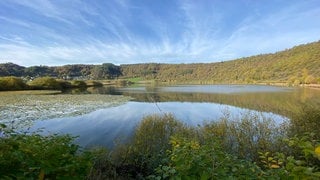 Das Meerfelder Maar. Eigentlich beginnt dort jetzt die Badesaison. Doch wegen giftiger Blaualgen im Maar wurde ein Badeverbot verhängt. 