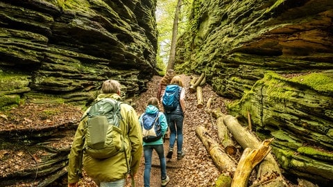 Bollendorf Lauschtour Grüne Holle