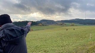 Rechts auf dem Scharteberg steht ein Sendemast, links daneben ist das "Hinterweiler Köpfchen", der zweite Gipfel des Schlackenkegels zu sehen. Unterhalb graben sich Bagger durch den Basalt.